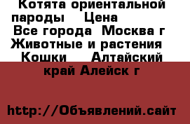 Котята ориентальной пароды  › Цена ­ 12 000 - Все города, Москва г. Животные и растения » Кошки   . Алтайский край,Алейск г.